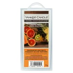 Yankee Candle Wax Melts Scented Home Room Fragrance Exotic Fruits 75g