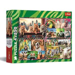 Trefl 4 en 1 : Animaux Drôles-4 x 250 Pièces-Ensemble de Quatre Puzzle pour Les Adolescents, 13313, Multicolore