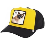 Casquette Goorin Bros  Cool cat