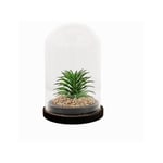 Silumen - Plante artificielle sous cloche en verre 13x19cm - Motif 3