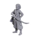 WizKids Dungeons & Dragons Nolzur's Marvelous Miniatures Ansalon Hum (US IMPORT)