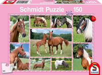 SCHMIDT, 150 Pieces Horse Dreams Puzzle, , SCM56269