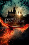 empireposter Fantastic Beasts - The Secrets of Dumbledore - Teaser - Dimensions : 61 x 91,5 cm