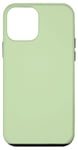 iPhone 12 mini pastel green Case