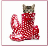 Puss in Boots Cute Tabby Kitten Cat in Red White Spotty Wellington Blank Card