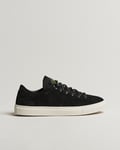 Stone Island Low Top Suede Sneakers Black