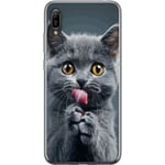 Huawei Y6 Pro (2019) Genomskinligt Skal Katt