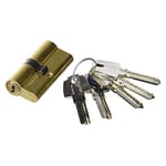 Tesa Assa Abloy T65D3030L Cylindre de sécurité standard T60 laiton 30 x 30 mm Clé à came longue