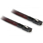 DeLOCK intern Mini SAS 36pin (SFF8087) - Mini SAS 36pin (SFF8087) -kabel, 1m