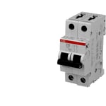 ABB - Disjoncteur Modulaire 20A 2P S202-C20