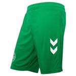 Danmark Målvaktsshorts 2024/25 - Hummel, storlek 3XL