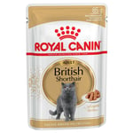 Royal Canin British Shorthair Adult i saus - 24 x 85 g