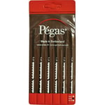 Pegas - Set lames scie à chantourner 6 pcs PS906x6DI