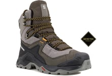 Salomon Quest Element Gore-Tex M Chaussures homme