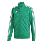 Adidas Men's TIRO19 TR JKT Sport Jacket, Bold Green/Collegiate Green/White, XS