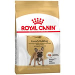 RC French Bulldog 2 x 9 kg