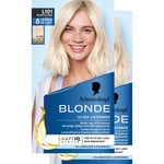 Schwarzkopf Blonde L101 Silver Blonde-2 pack