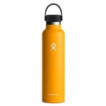 Hydro Flask  21 OZ STANDARD FLEX CAP, 827 Starfish, 0,621 L