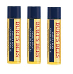 Burt's Bees - Lip Balm - Vanilla Bean 3-Pak