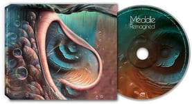 Pink Floyd Tribute  Meddle Reimagined  A Tribute To Pink Floyd  CD