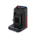 Chargeur de batterie Toro Flex-Force Power System 60V 5AMP