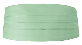 SOLID Pastel green gördel