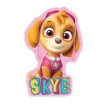 Herding Paw Patrol Skye Patrol Dogs -tyyny