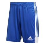 Adidas Men's TASTIGO19 SHO Sport Shorts, Bold Blue/White, XL