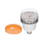 Ampoule LED 45W Daylight Avec Filtre De Conversion Au TUNGSTÈNE Westcott