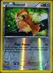 Carte Pokémon 75/106 Roucool 60 Pv - Reverse Série Xy Étincelles Neuf Fr
