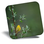 Awesome Fridge Magnet - Little Yellow Bird Tree Rain Nature  #45583