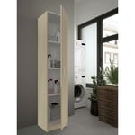 Dmora Armoire à usages multiples Clearwater, Armoire auxiliaire avec 1 porte, Armoire à chaussures avec étagères, Range-chaussures vertical, cm