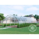 Serre polycarbonate, Strong nova 48m², 4x12m, Argent