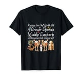 Rejoice In The Birth Of A Brown Skinned Middle Eastern Funny T-Shirt