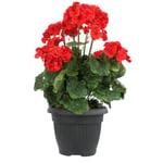 Pot De Fleur Plastique Abthracite D 50 Cm Cache Pot Classique Jarnidniere Rond Bol Boite A Fleurs Plantes Externe Interne