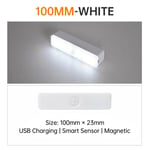 White Light 10CM indoor lighting Bande Lumineuse LED Sans Fil avec Capteur de Mouvement, Rechargeable par USB, Luminaire Décoratif d'Nik, Idéal pour une Armoire, une Cuisine ou une Chambre à Coucher, 10/20/30/50cm ""Nipseyteko