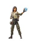 Hasbro Star Wars - The Black Series - The Acolyte - Osha Aniseya 15cm