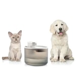 Fontaine pour Chats Rechargeable avec Détecteur Refopet InnovaGoods