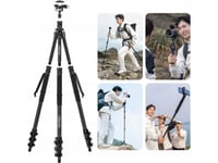 Ulanzi Professional Photo Tripod 5In1 146Cm / Ulanzi Tt35 / T068