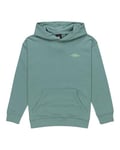 Element Skateboard Co - Sweat à Capuche - Garçon Enfant 8-16 - Bleu.