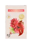 Doftljus Värmeljus Cactus Flower 6-Pack