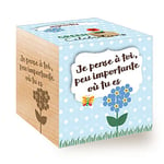 Feel Green Celebrations Ecocube, Myosotis, avec un Message Gravé De Haute Qualité, Je Pense À Toi, Idée Cadeau (100% Ecologique),Grow-Your-Own,Kit Prêt-à-Pousser, Plantes dans des Cubes en Bois 7.5cm