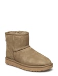 W Classic Mini Ii Designers Wintershoes Brown UGG