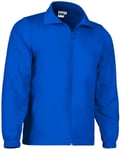 Veste De Sport Homme - Court - Bleu Roi