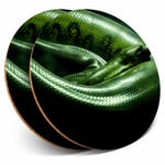 2 x Coasters - Green Anaconda Snake Home Gift #21647