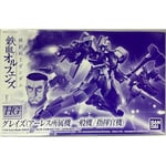 BANDAI HG 1/144 GRAZE ARES COLOR Plastic Model Kit Gundam Iron-Blooded Orpha FS