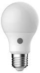 LED-pære, sensor og skumringsrelé, E27 A60 4,2 W