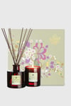 Candle & Diffuser Set Lavender, Rosemary, Thyme & Mint