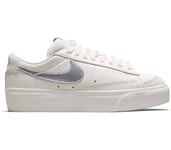 NIKE Femme Blazer Low Fur Basket, Voile métallique argenté, 41 EU