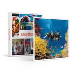 Smartbox - Coffret Cadeau Homme - Exploration plongée - idée Cadeau pour Lui - 1 expérience de plongée pour 1 à 3 Personnes